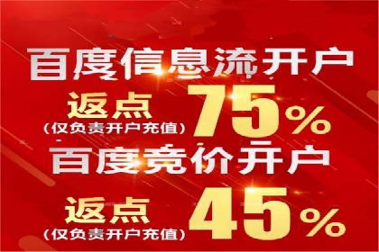 经典案例：SEM代运营服务公司的成功之路